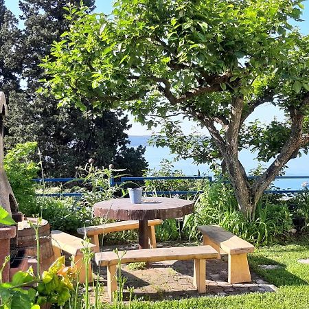 Apartments And Rooms Knez Portoroz Exterior foto